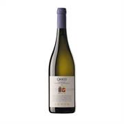 VINO LENTO GRECO BIANCO DOP LAMEZIA LT.1,5
