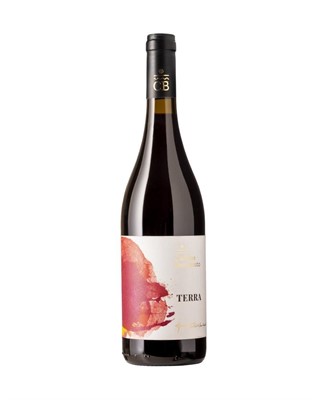 VINO CANTINE BENVENUTO TERRA LT.0,75 ROSSO IGP CALABRIA