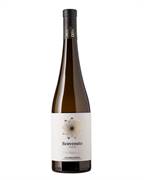VINO CANTINE BENVENUTO ZIBIBBO LT.0,75 IGP CALABRIA